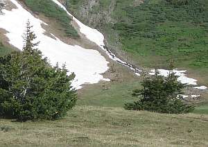 South San Juan From Nose.